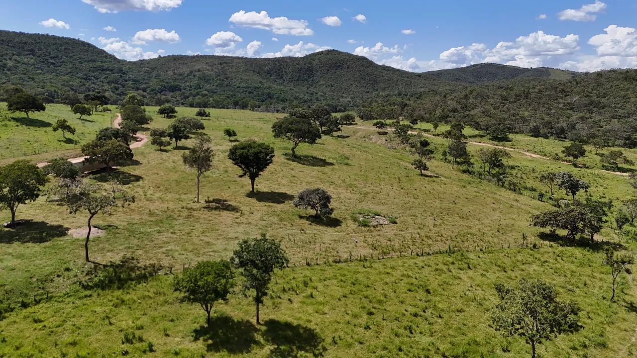 Fazenda em cocalzinho de 189 alqueires  - Foto 3