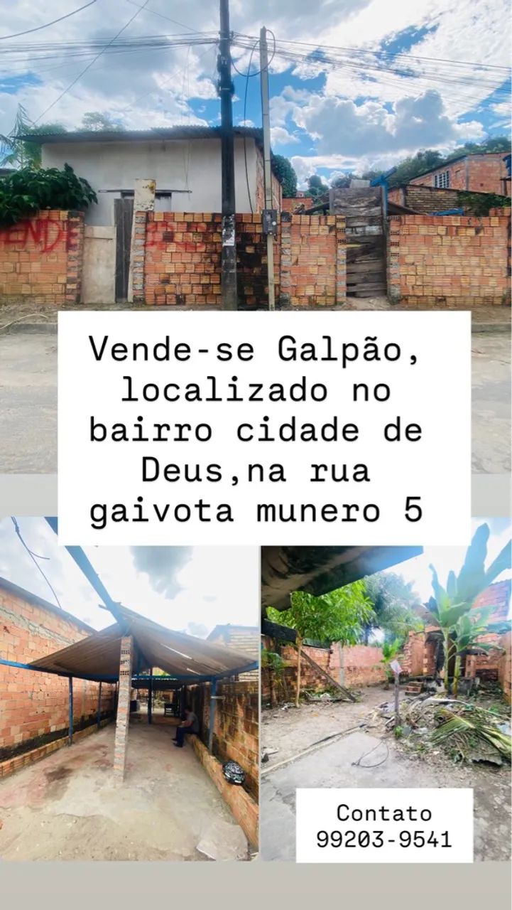 Foto - Manaus - Tancredo Neves