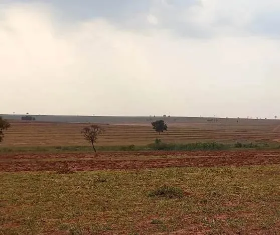 FAZENDA COM 2.323 HECTARES NA REGIÃO DE NOVA ANDRADINA - MS