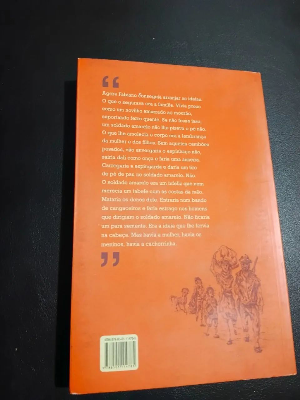 Livro: vidas secas - Foto 4