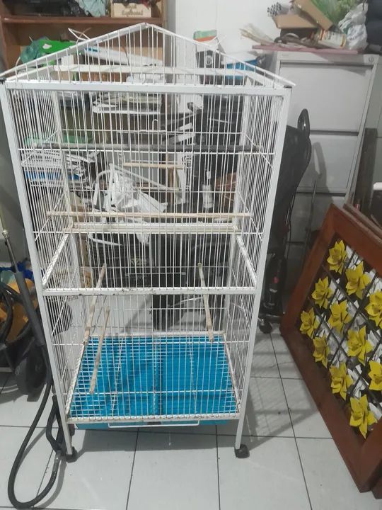 Gaiola para Pássaros