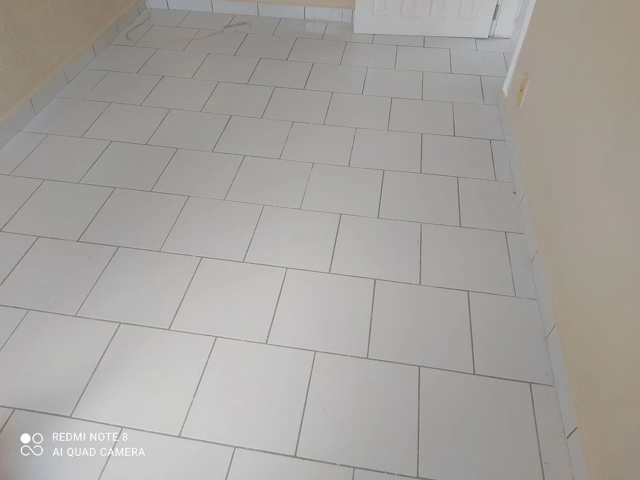 Predeiro,e Pinto profissional ser precisa  - Foto 2