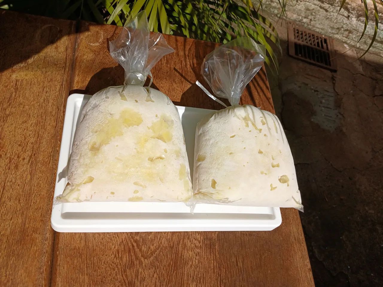 Cupuaçu 100% Natural retirada no local - Foto 2