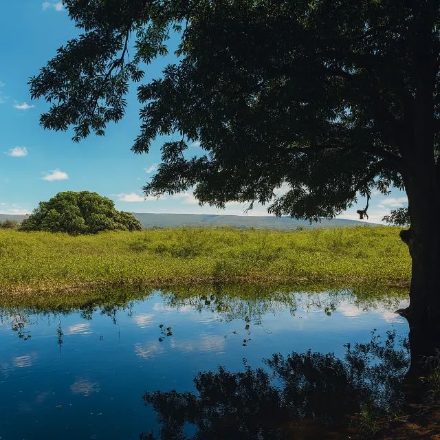 Foto - Campo Formoso - 