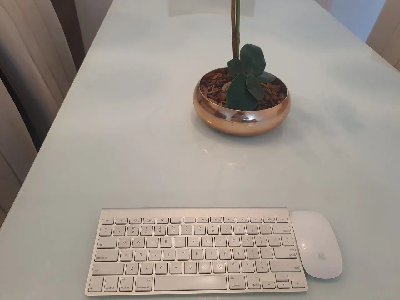 Magic keyboard (Teclado) e mouse Apple - Foto 2