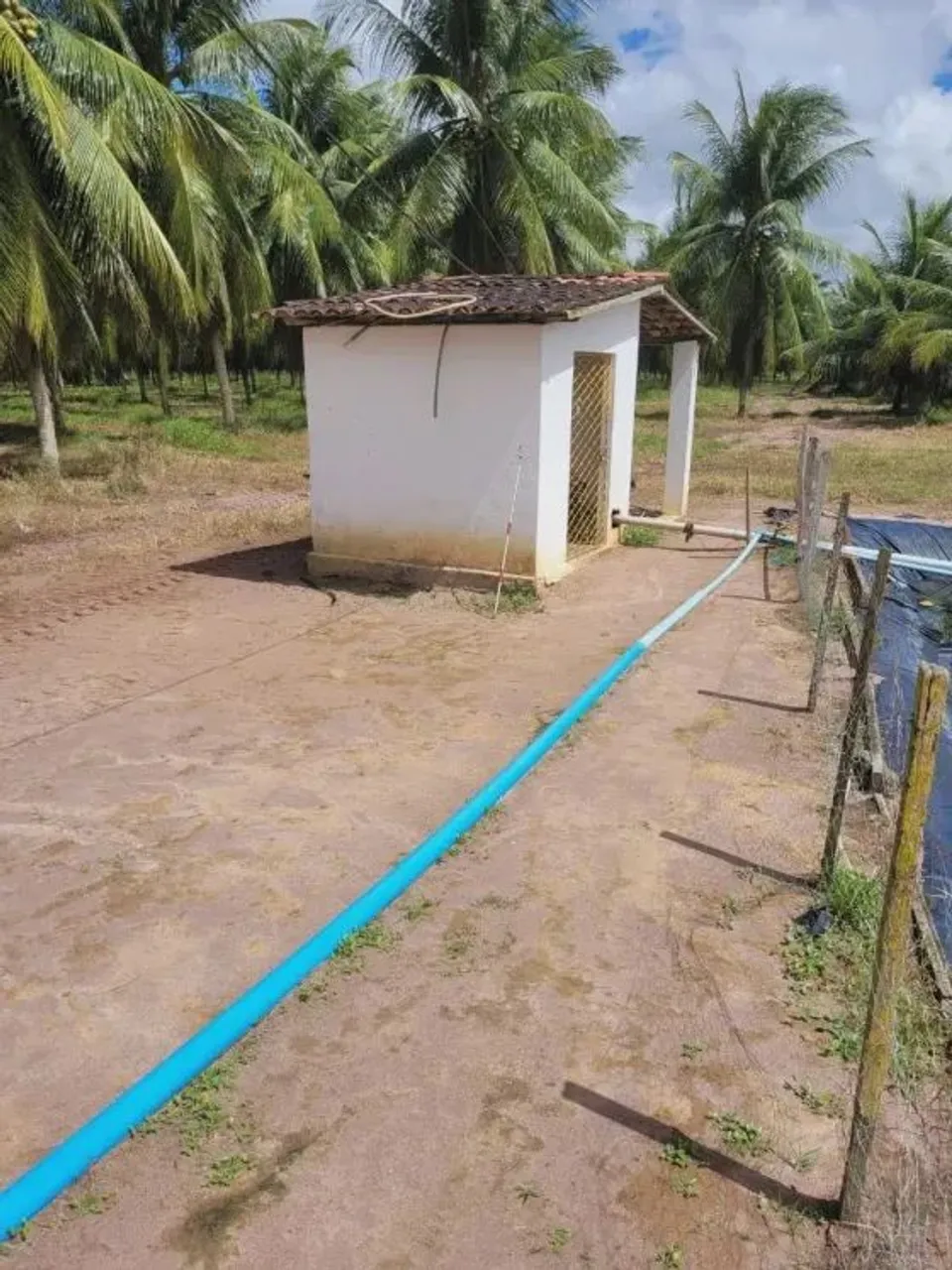 fazenda de coqueiros de porteira fechada em ceará mirim