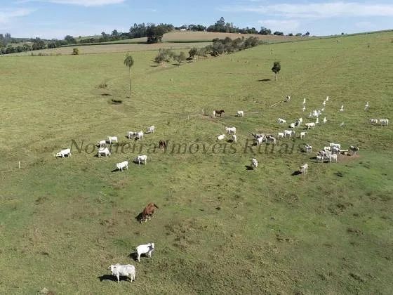 Haras à venda na região de Itapetininga-SP - Foto 5