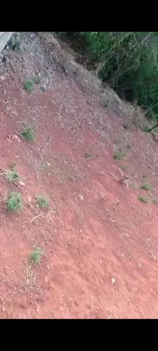 Terreno com área verde em ótima localização