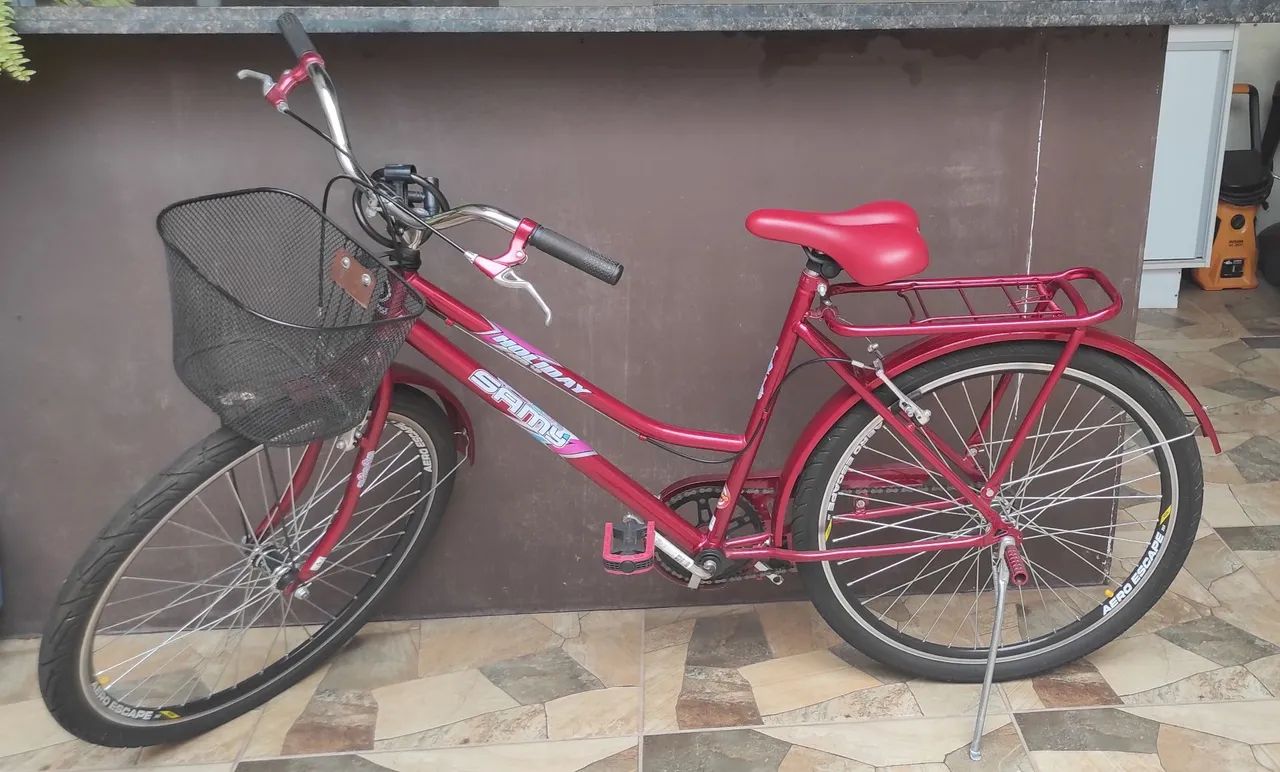 Bicicleta Holiday Samy 