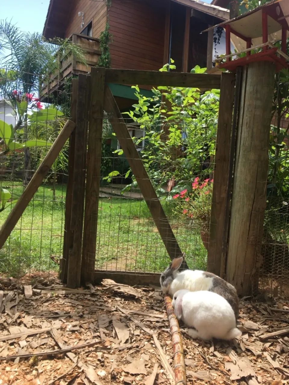 Casa Fazendinha no Campeche  - Foto 12