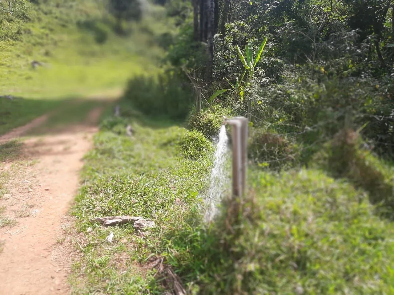 Fazenda de 20 hectares em Mateus Leme  - Foto 5