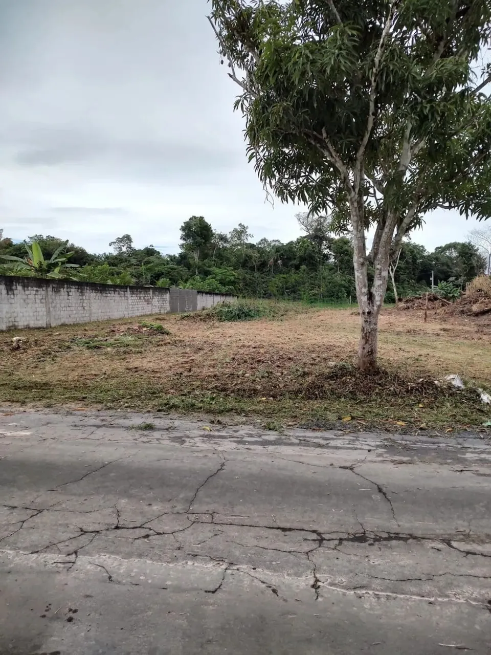 Terreno Tarumã próximo a VIvenda verde