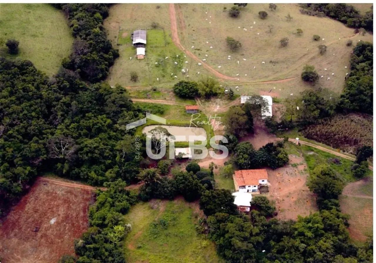 Fazenda Ponte de Pedra a venda, localizada em Corumbá de Goiás  tradição, abundância hídri - Foto 6