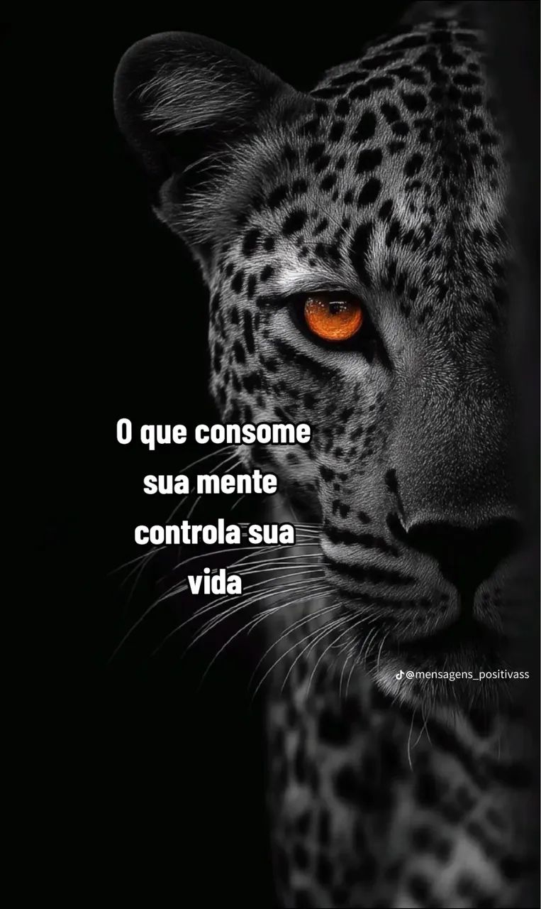 Programador profissional - Foto 4