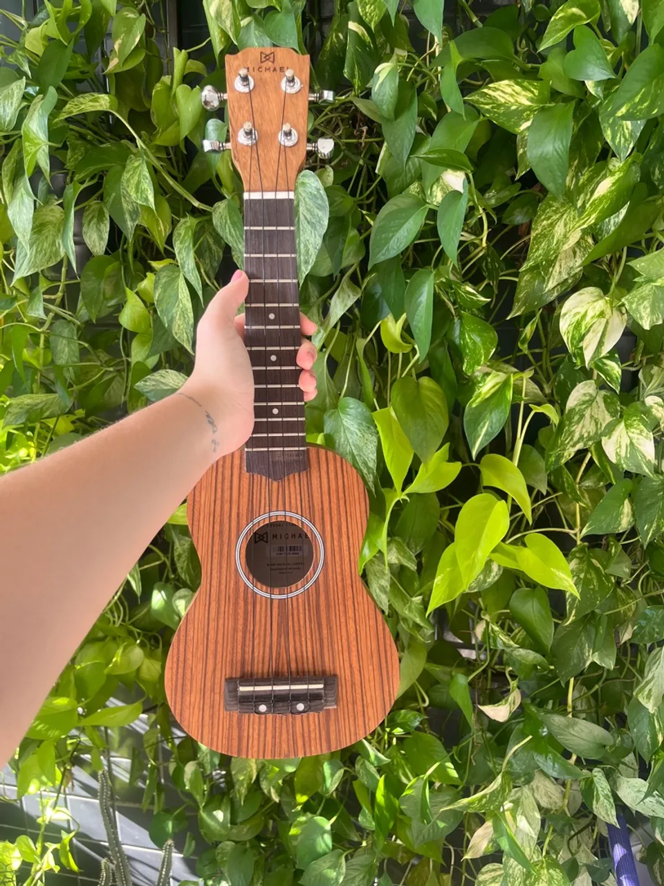 UKELELE MICHAEL NUNCA USADO