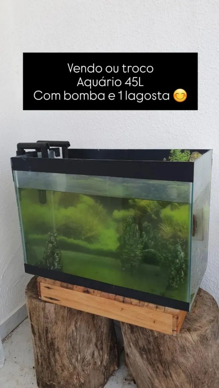 Aquário 45L 