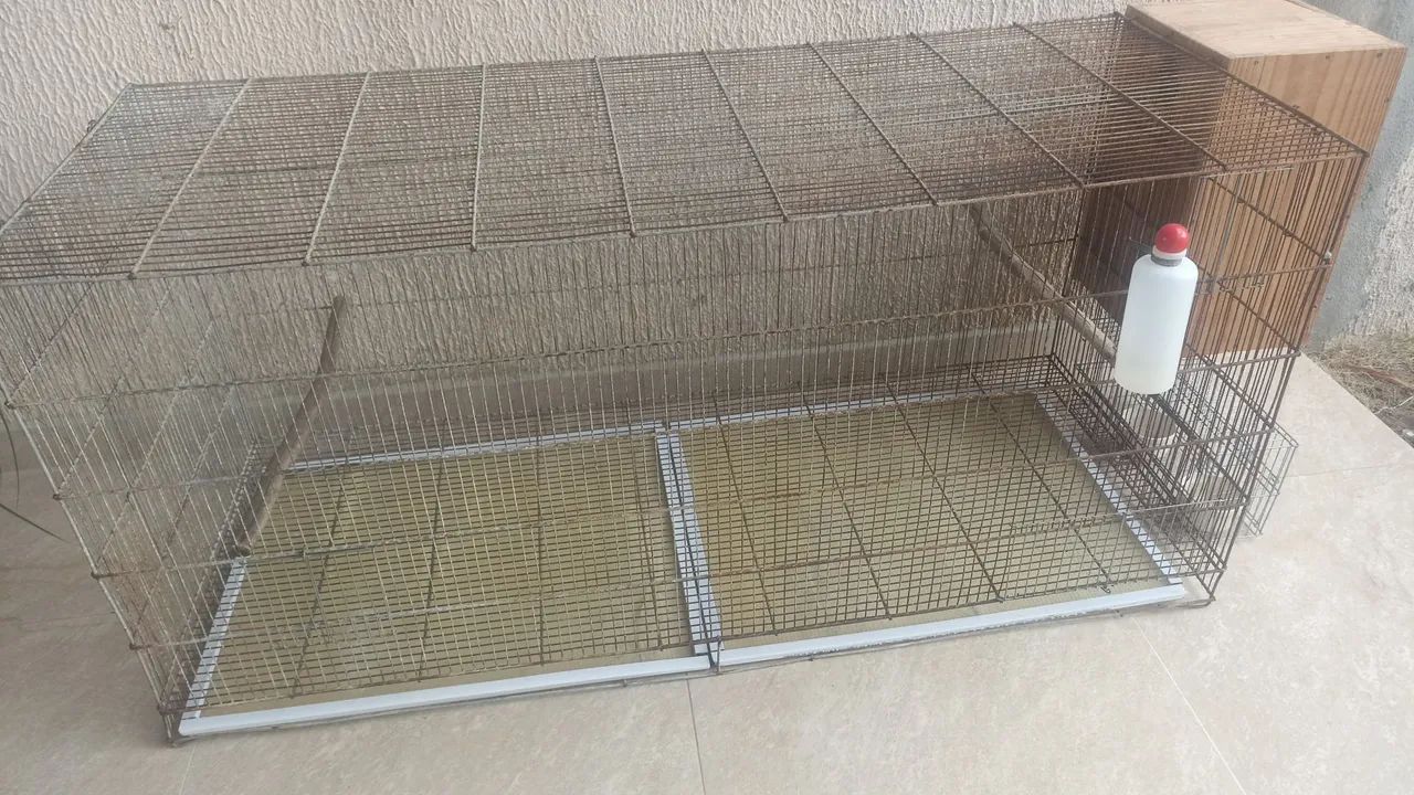 Voadeira para psitacídeos. - Foto 4