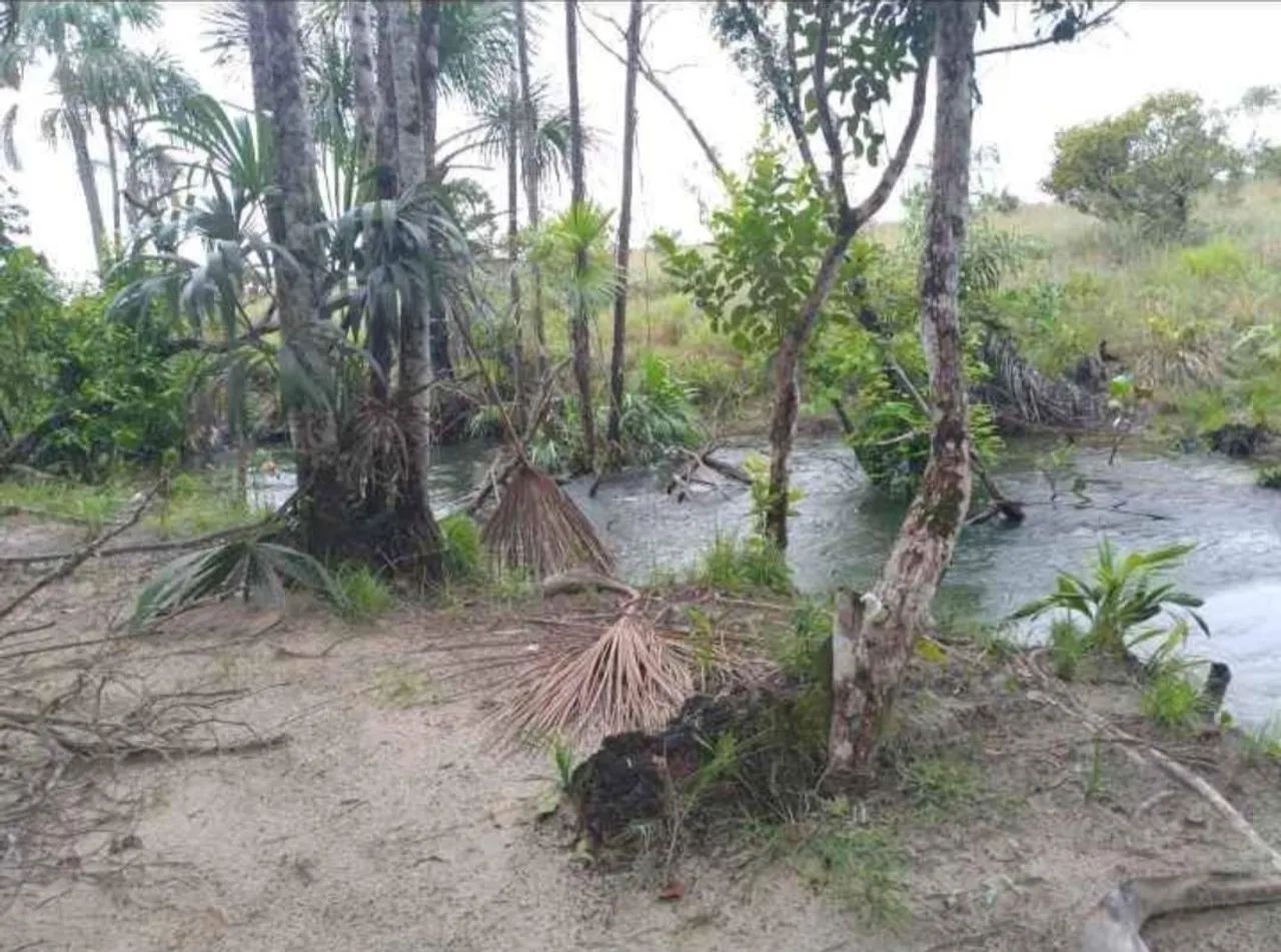 Vende-se chácara 3ha - Foto 4