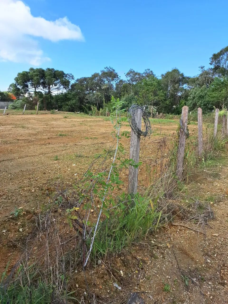 Terrenos, dois juntos total 600m  - Foto 5