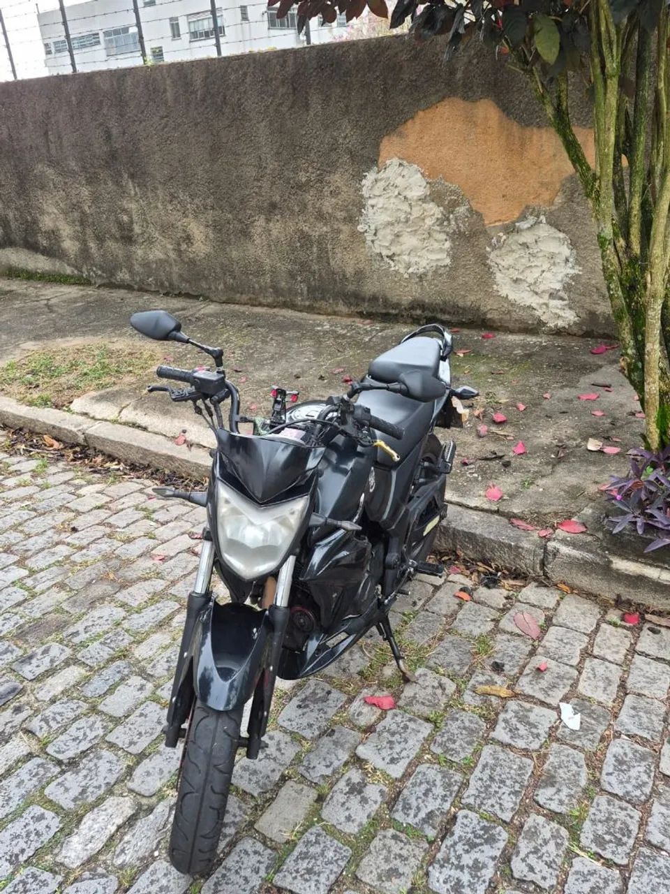 Next 250 cc - Foto 3