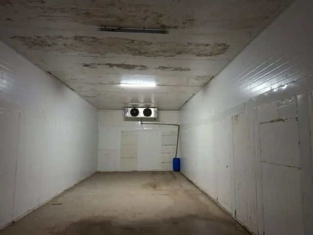 Câmara Fria - Foto 5