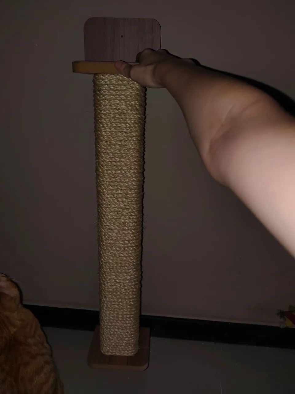 Arranhador gato - Foto 4