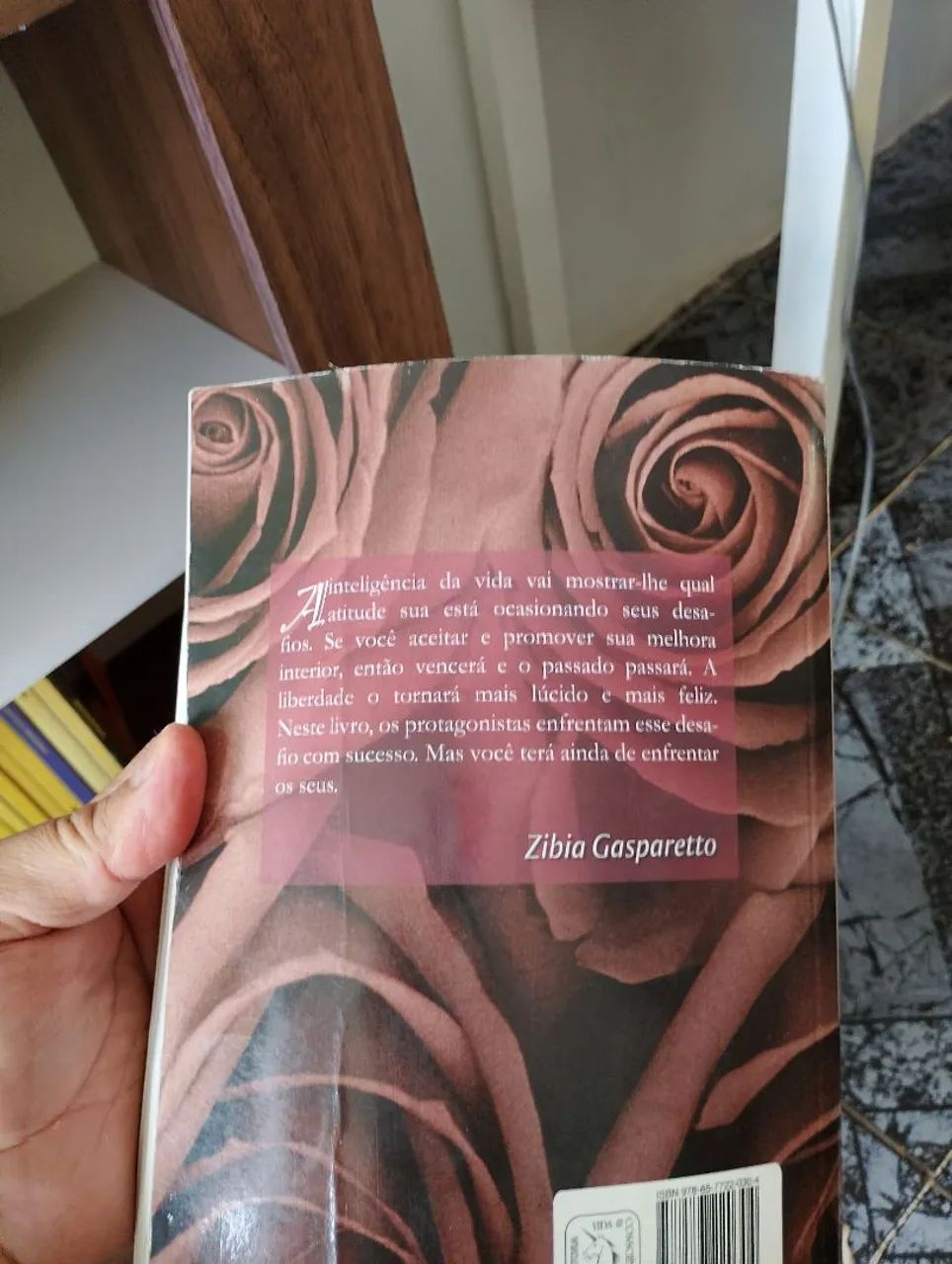Livro vencendo o passado  - Foto 2
