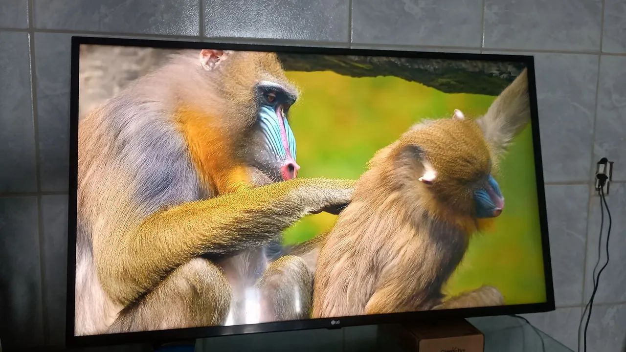  LG Smart 4K 50 polegadas  - Foto 2