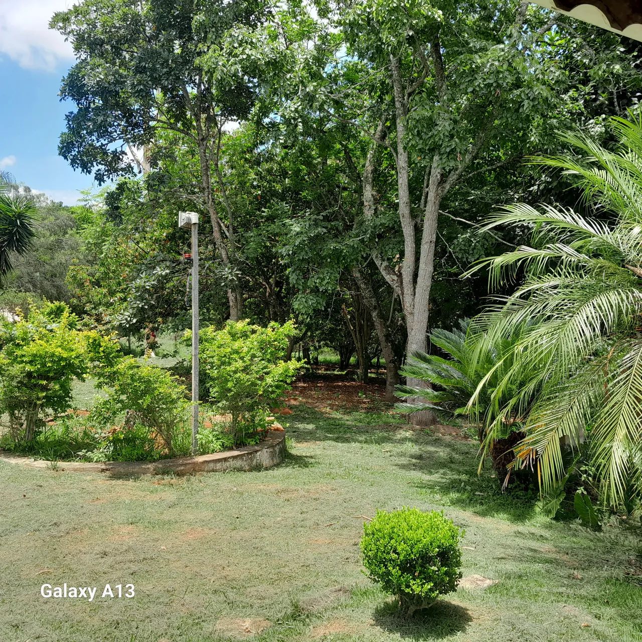 Vendo Sítio em Silvianopolis  - Foto 5
