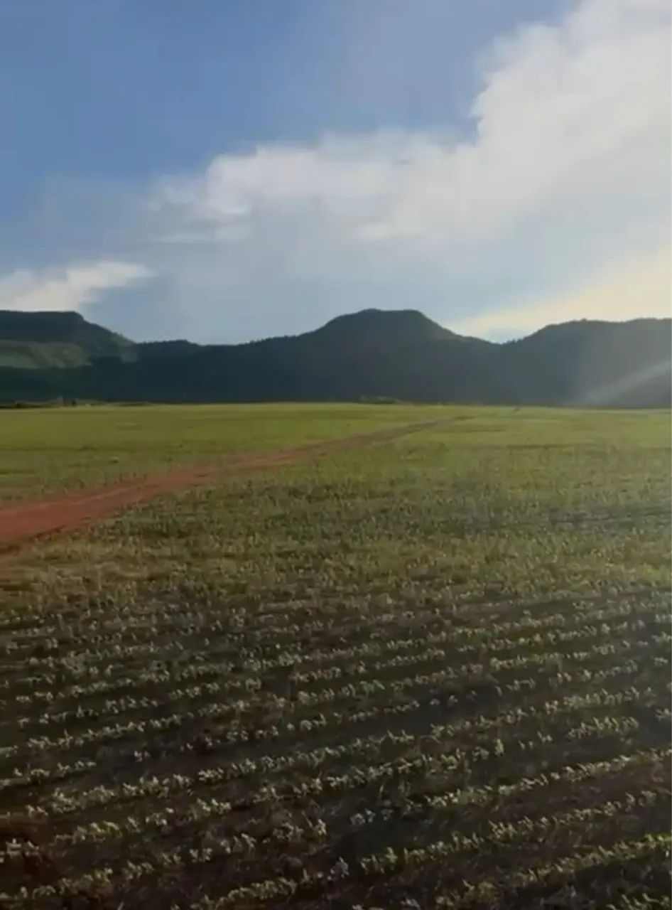 Fazenda terra de cultura, dupla aptidão - Foto 2