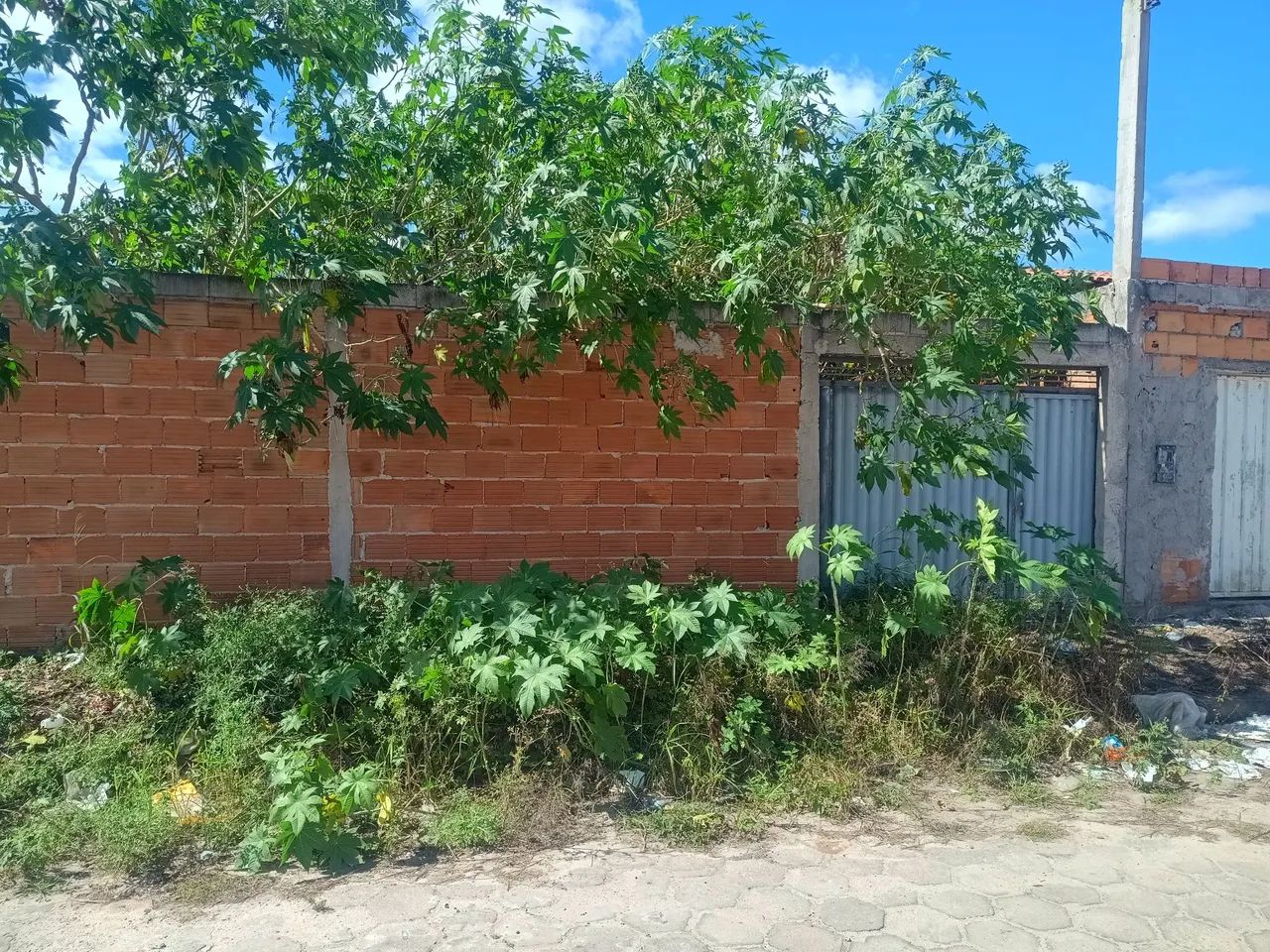 Lote Murado 250m2 Loteamento Nanuque - Foto 2