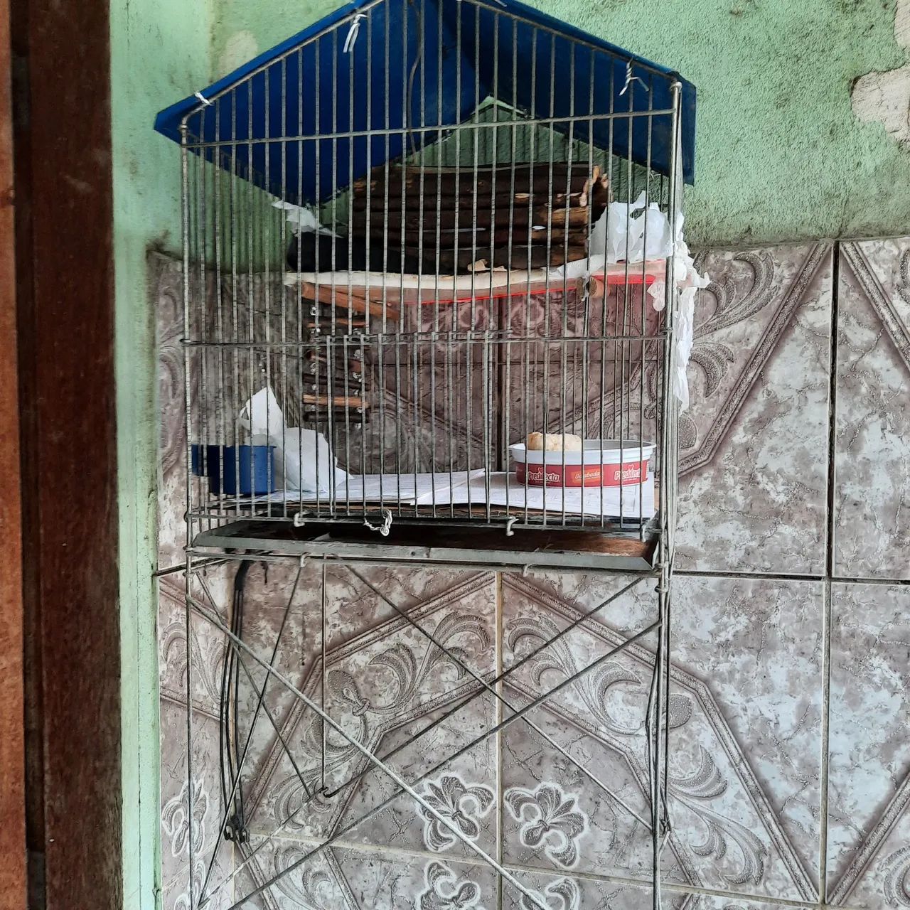 Ratinhos Twister  - Foto 6