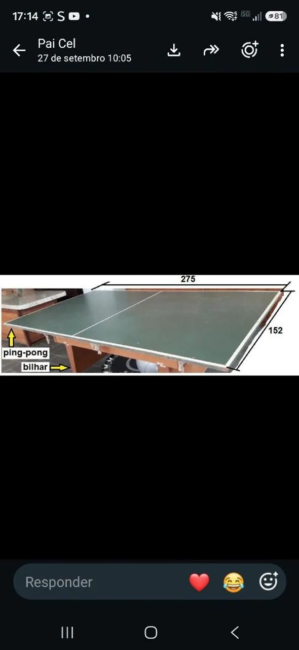 Imperdivel!!! Mesa de bilhar com tampo de mesa de ping pong mais acessorios  - Foto 3