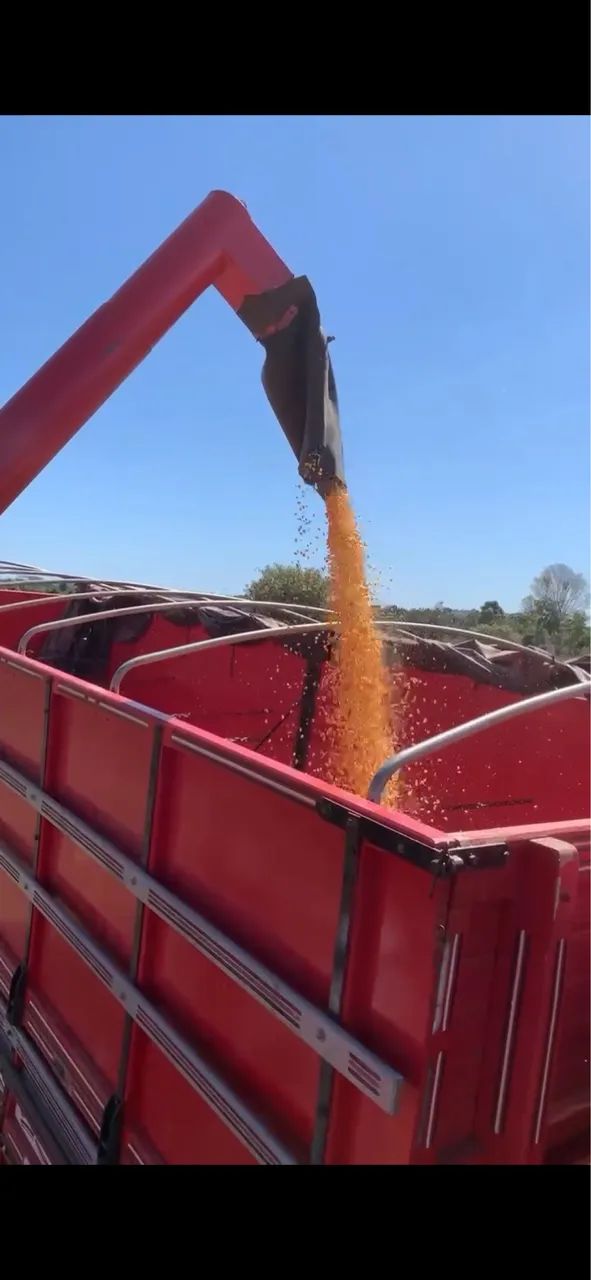 Máquinas agrícolas  - Foto 3