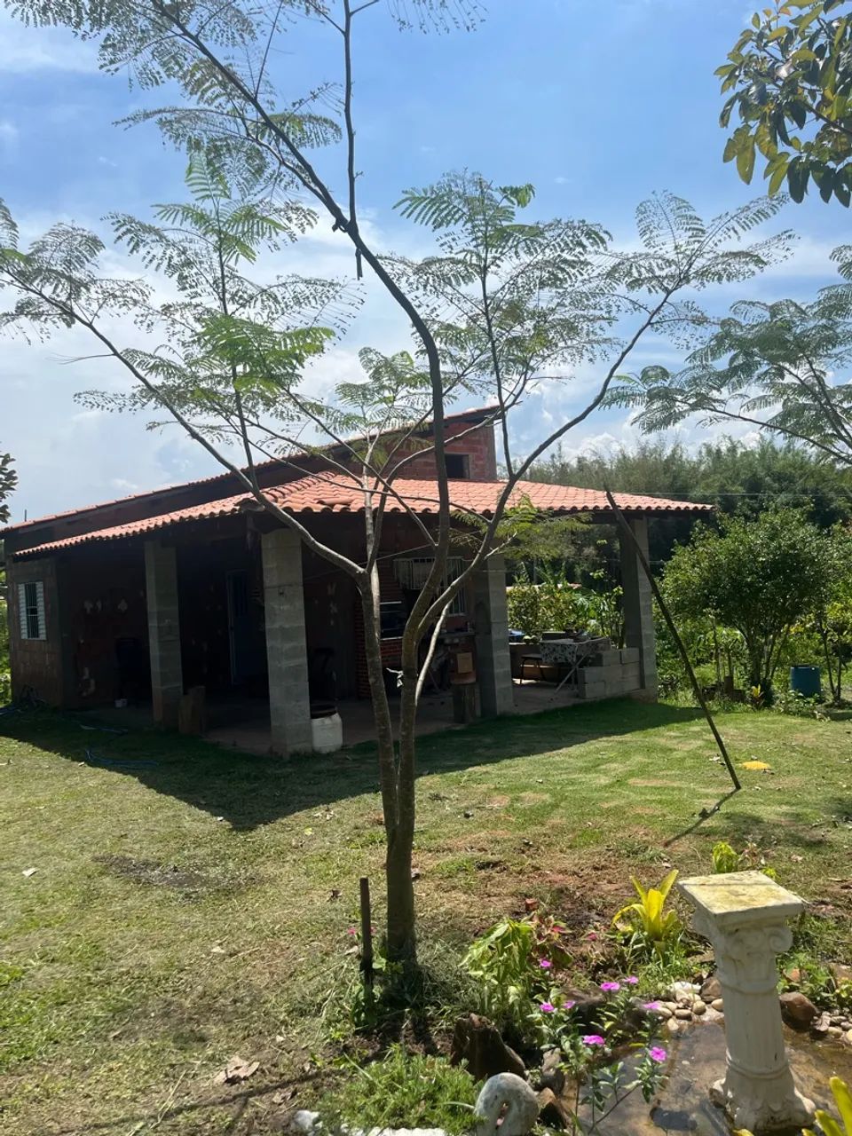 Vende-se chácara  - Foto 4