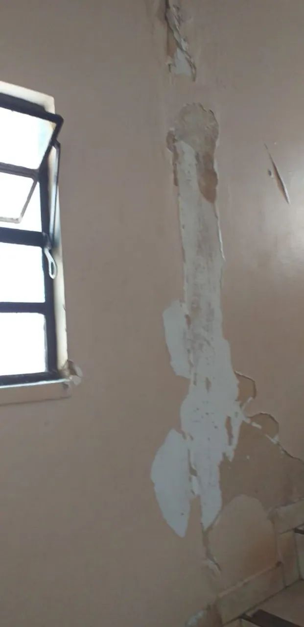 Brunnao pinturas ,limpezas - Foto 3