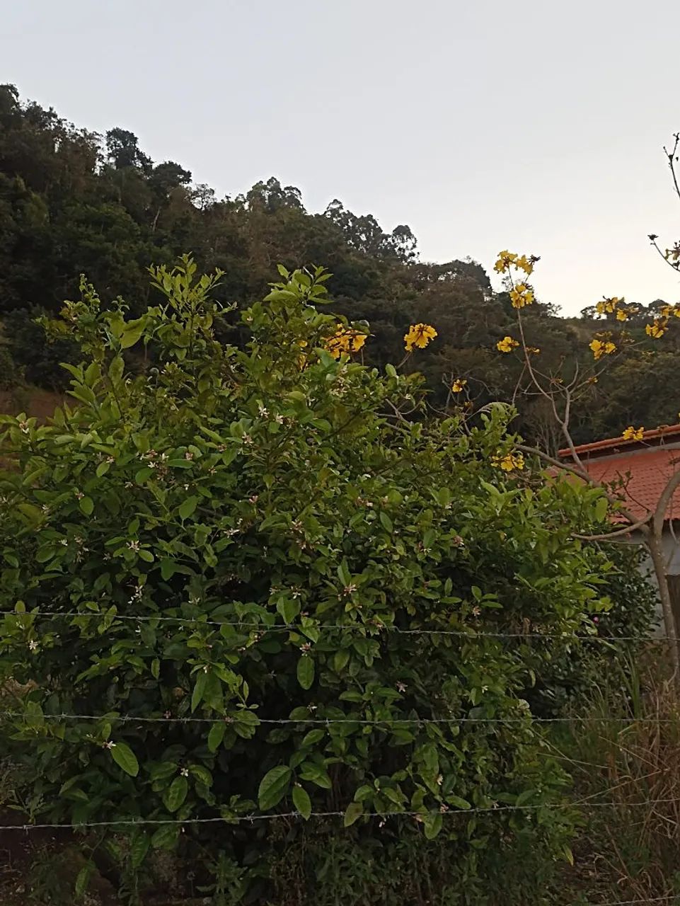 Sitios - Foto 4