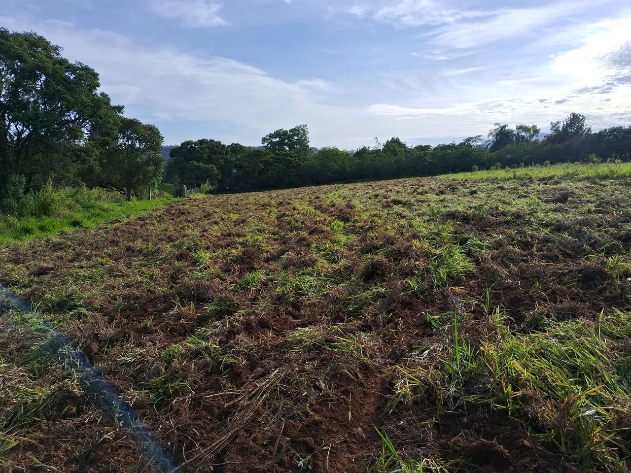 Trator agricola serviços  - Foto 4