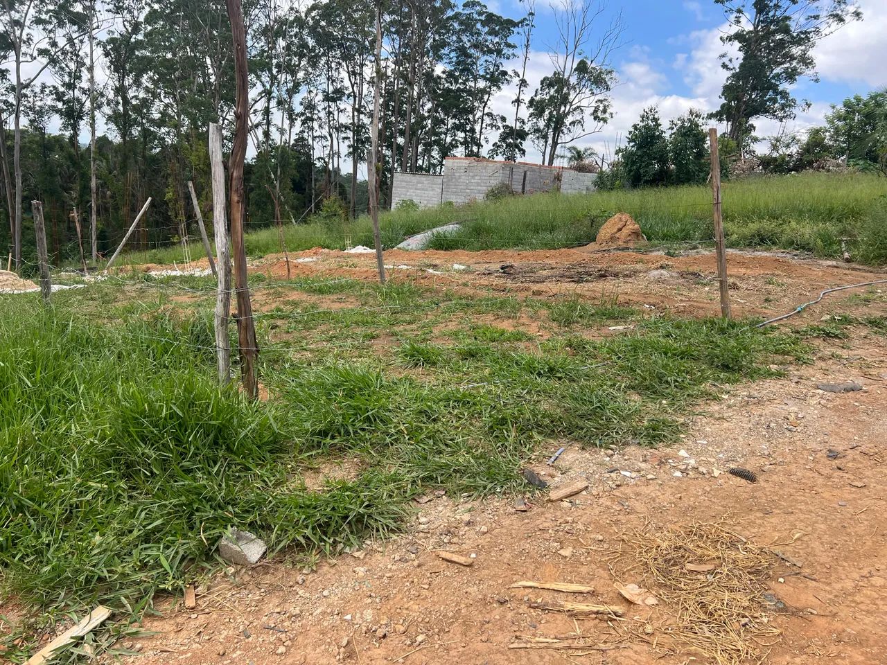 Foto - São Paulo - Colônia (Zona Leste)