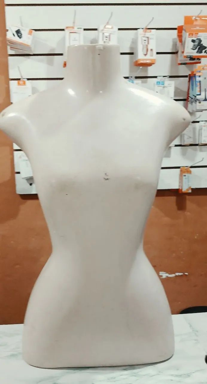 Vendo Esses Manequins e Bustos - Foto 4