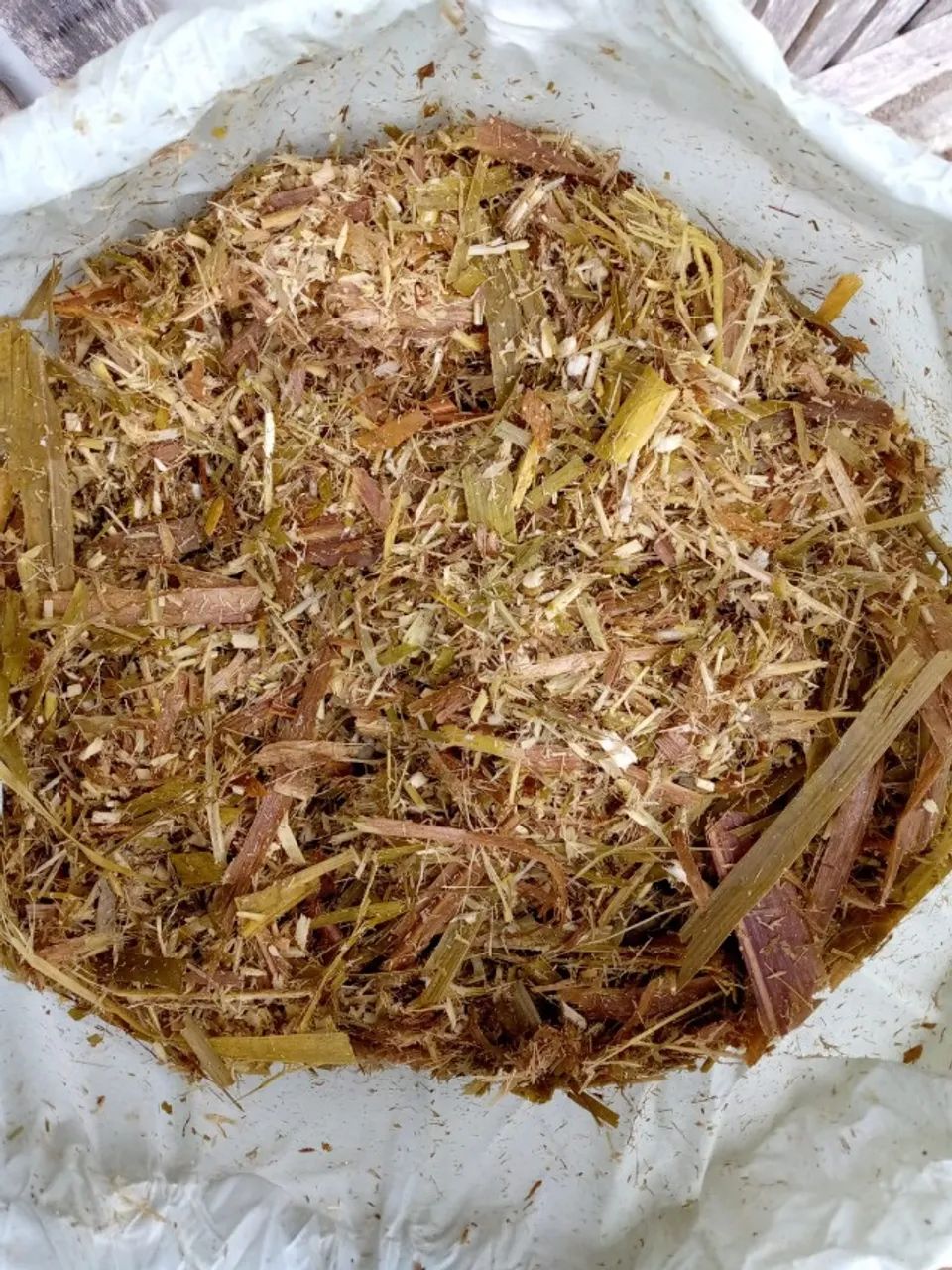silagem de capim.  (retirar no local) - Foto 3