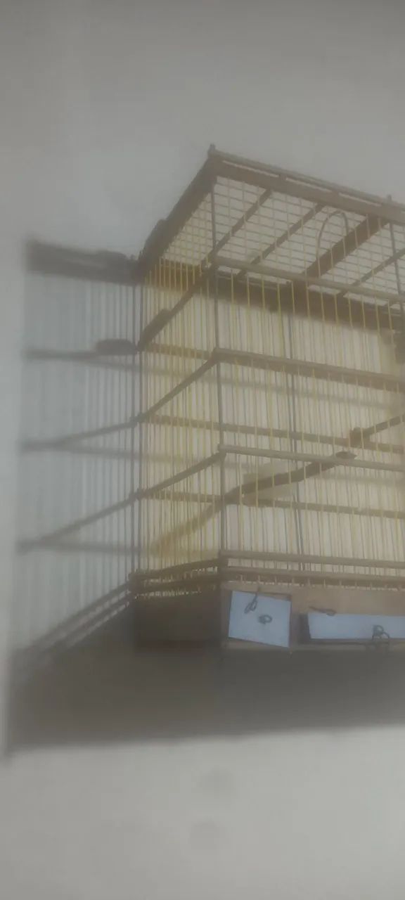 Gaiola - Foto 2