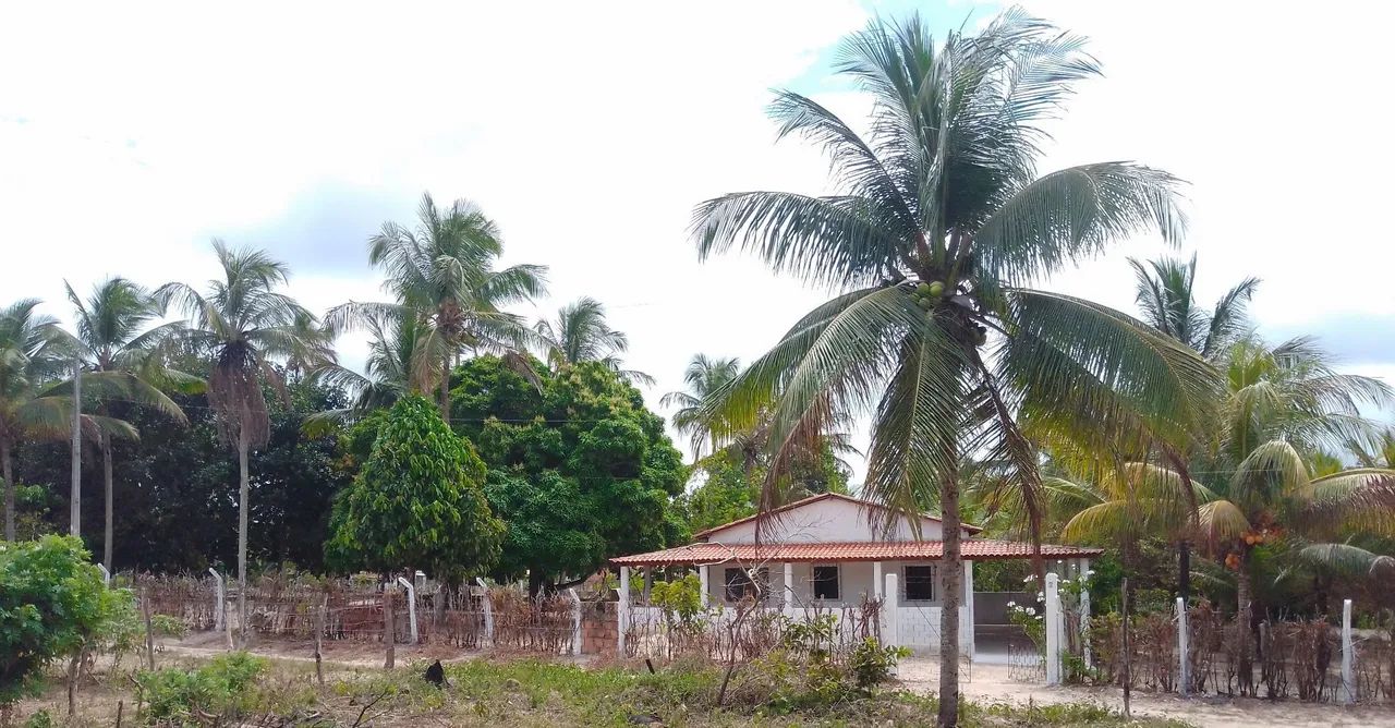 Sítio Em São Cristóvão-SE - Foto 3