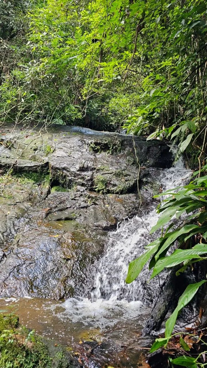 Chácara com cachoeira  - Foto 2