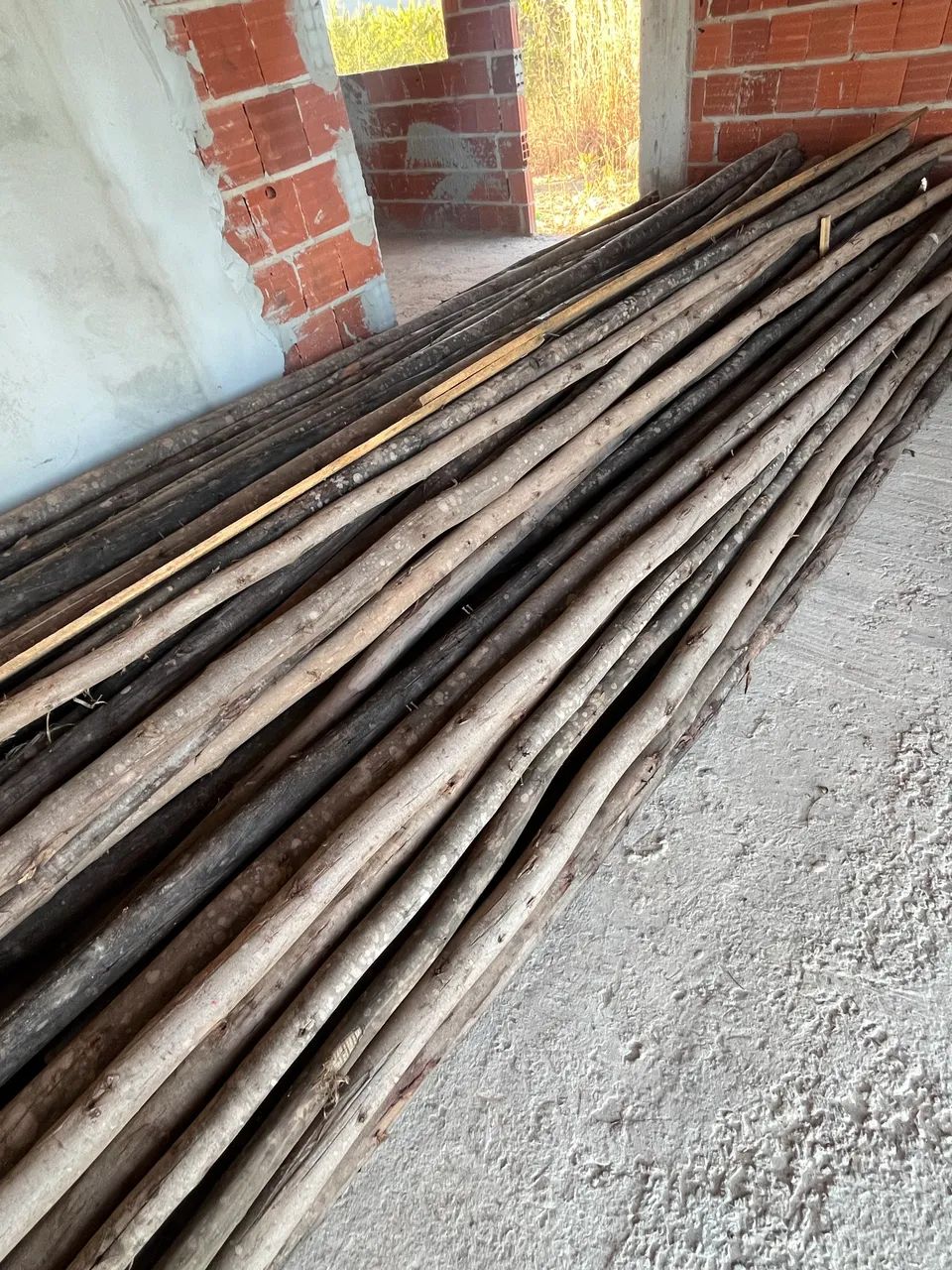 Escoras