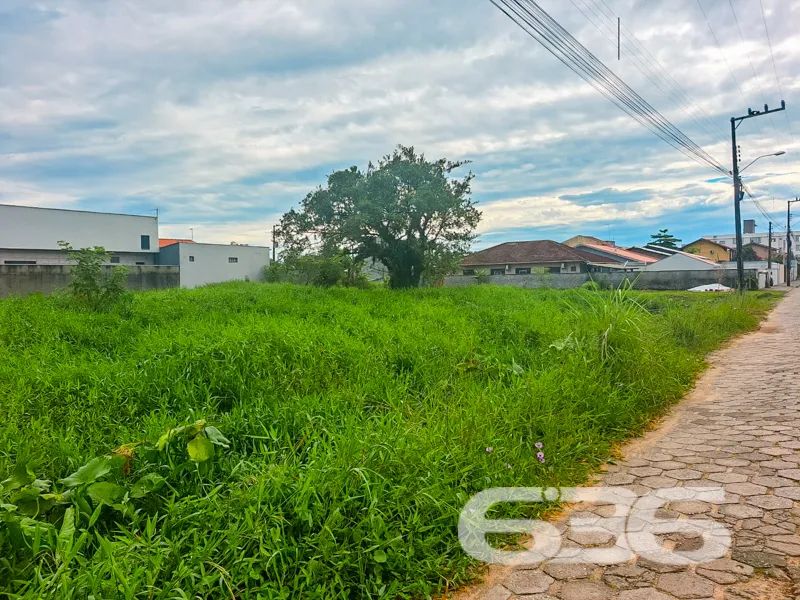 Terreno | Barra Velha | Itajuba - Foto 2