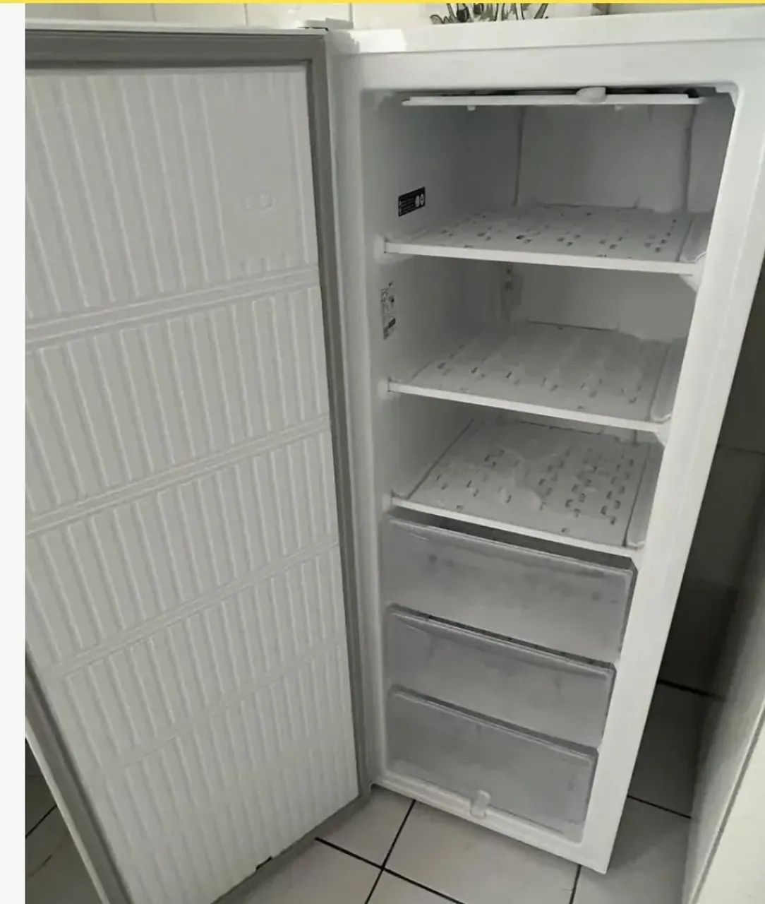 Freezer Electrolux Vertical Fe23 138 L