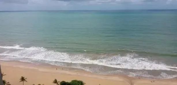 Apartamento com 4 Quartos para alugar, 259m² - Boa Viagem
