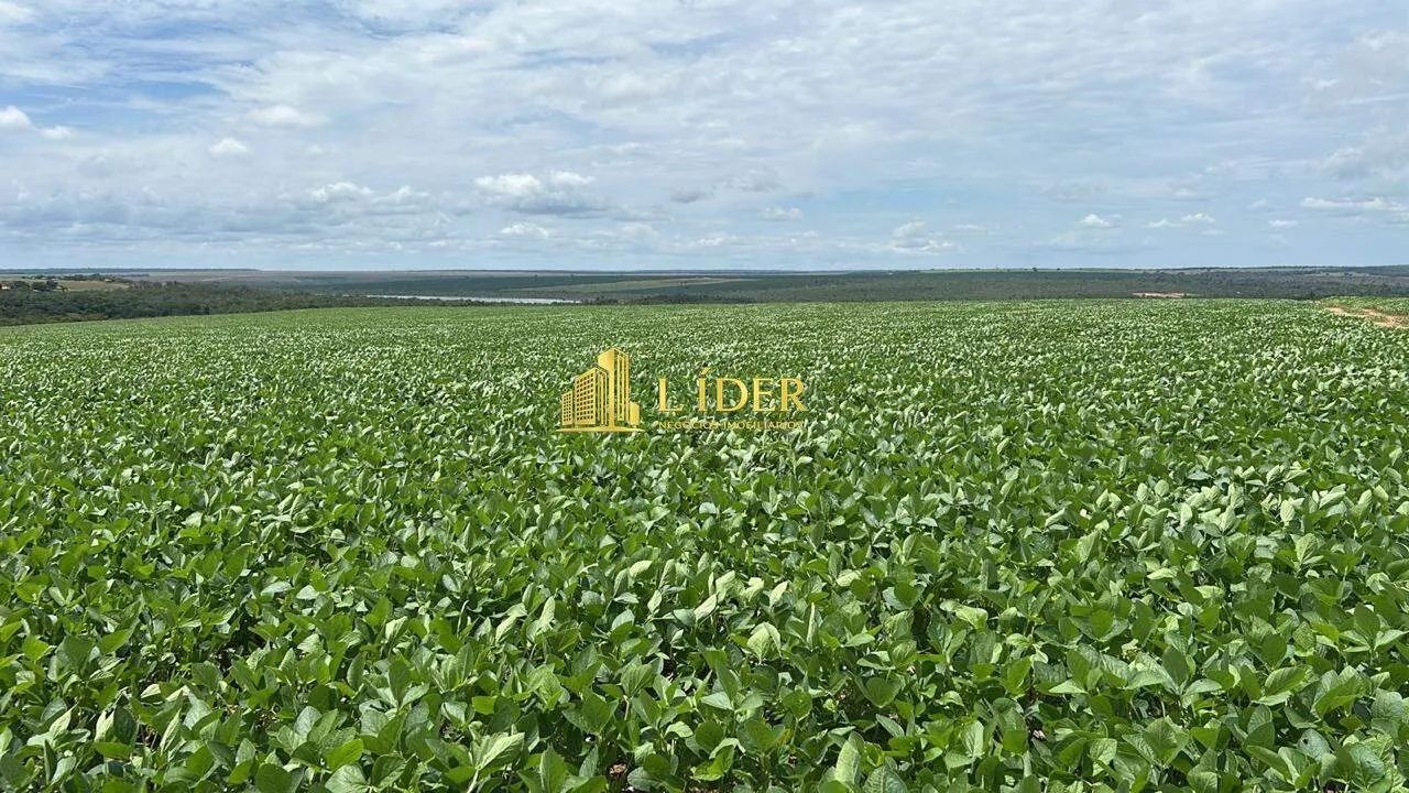 Fazenda no Município de Lagoa Grande