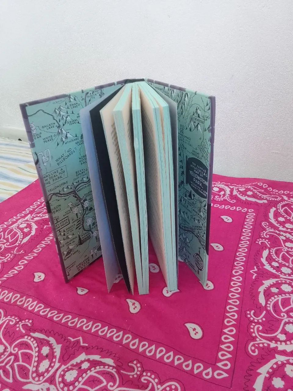 Livro Darkside Me Leve com Você - Foto 5